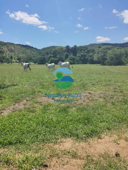 Foto 2 de Fazenda / Haras com 2 quartos à venda, 435m2 em Paraiso Do Tocantins - TO