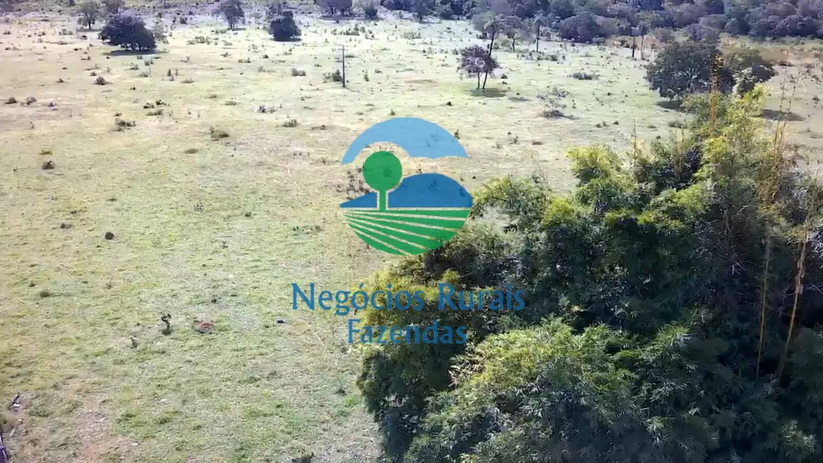 Fazenda / Haras com 2 quartos à venda, 435m2 em Paraiso Do Tocantins - TO - imagem 8 Foto 8 de Fazenda / Haras com 2 quartos à venda, 435m2 em Paraiso Do Tocantins - TO