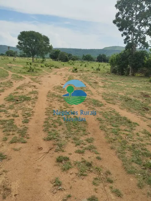 Foto 1 de Fazenda / Haras com 2 quartos à venda, 435m2 em Paraiso Do Tocantins - TO