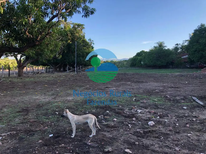 Foto 6 de Fazenda / Haras com 3 quartos à venda, 3338m2 em Parana - TO