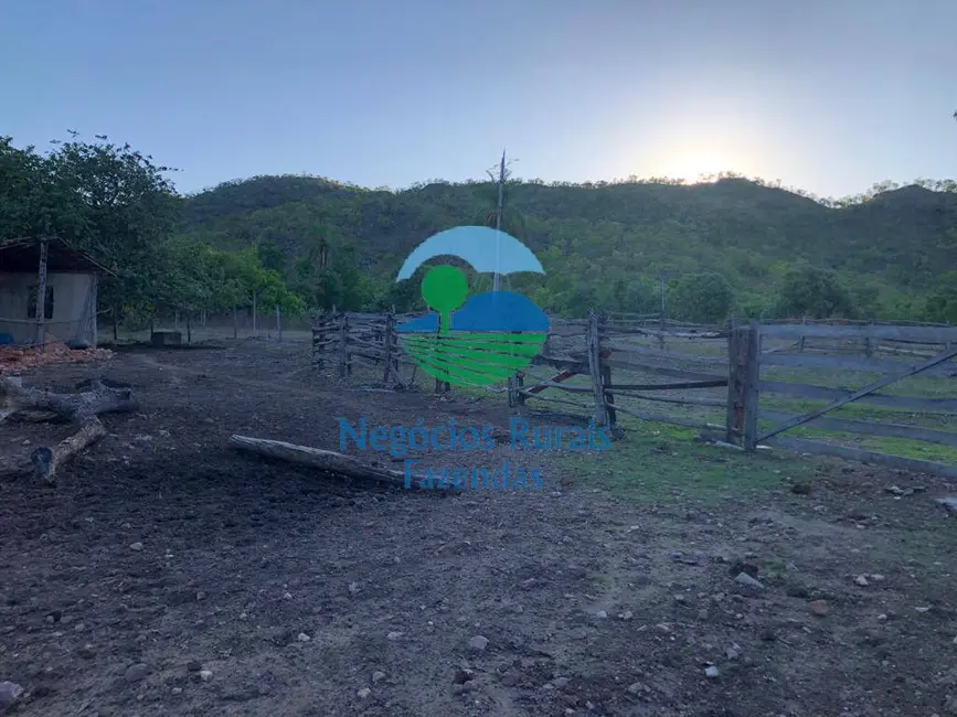 Foto 5 de Fazenda / Haras com 3 quartos à venda, 3338m2 em Parana - TO