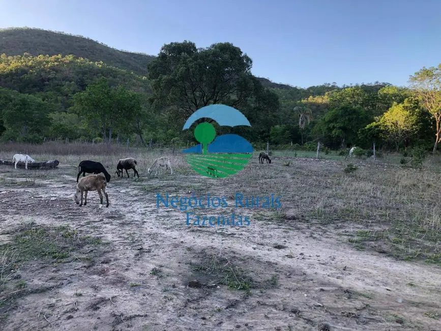 Foto 7 de Fazenda / Haras com 3 quartos à venda, 3338m2 em Parana - TO