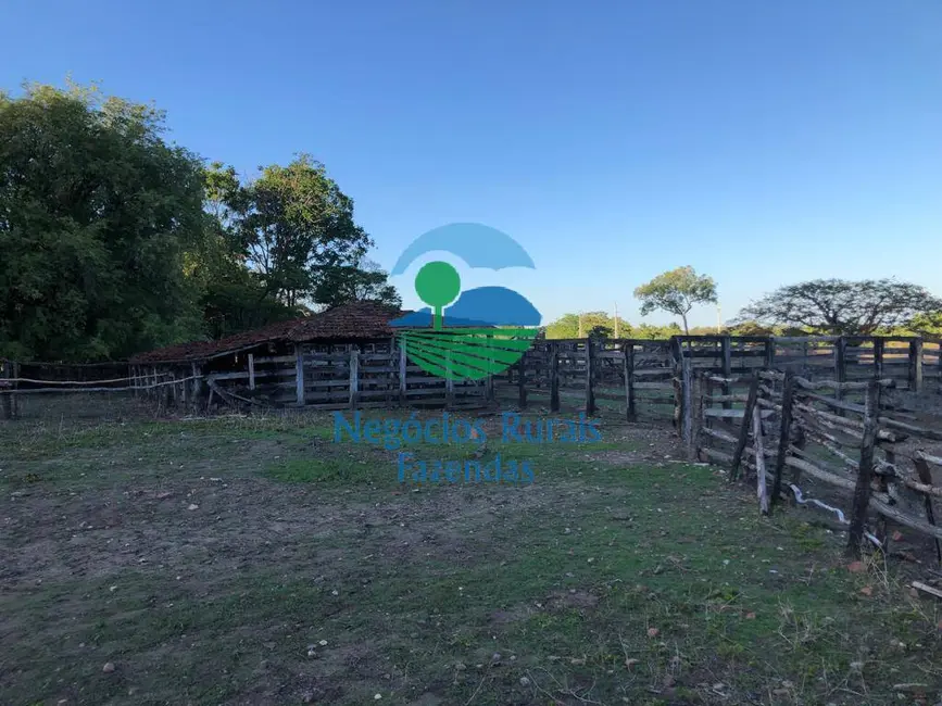 Foto 2 de Fazenda / Haras com 3 quartos à venda, 3338m2 em Parana - TO