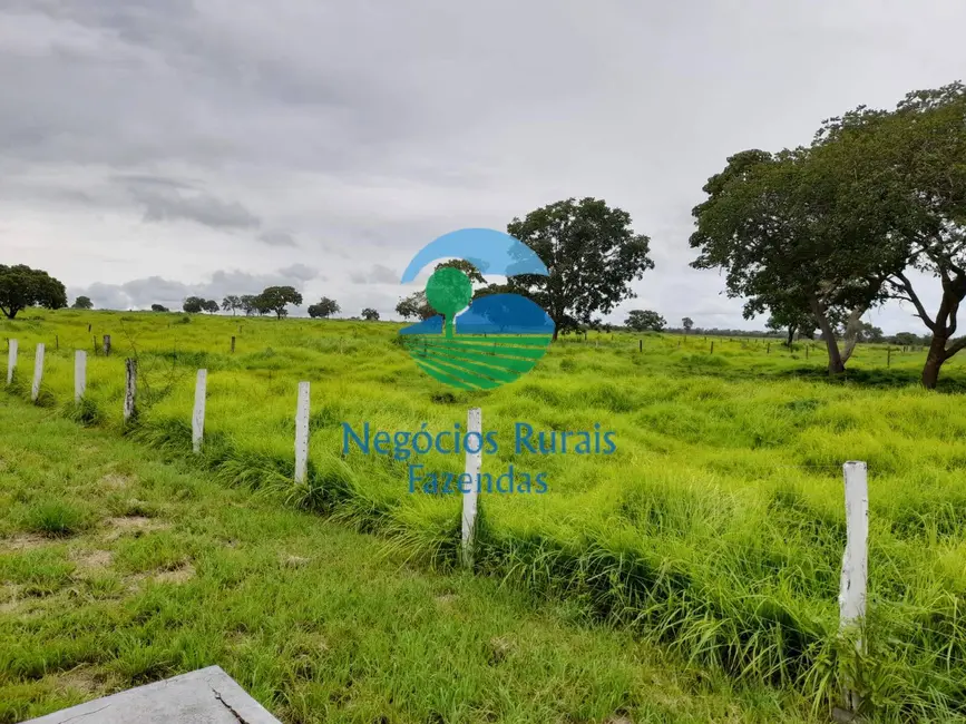 Foto 2 de Fazenda / Haras com 5 quartos à venda, 2095m2 em Parana - TO