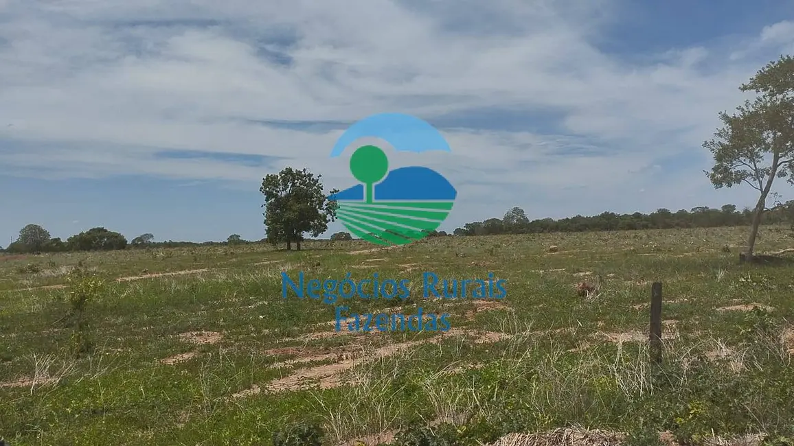 Foto 2 de Fazenda / Haras com 4 quartos à venda, 1282m2 em Peixe - TO