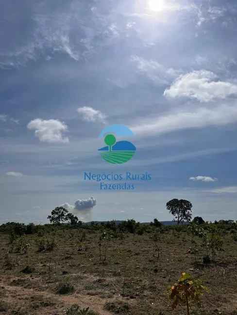 Foto 6 de Fazenda / Haras com 4 quartos à venda, 1282m2 em Peixe - TO