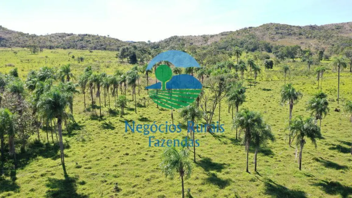 Foto 5 de Fazenda / Haras com 4 quartos à venda, 784m2 em Campinacu - GO