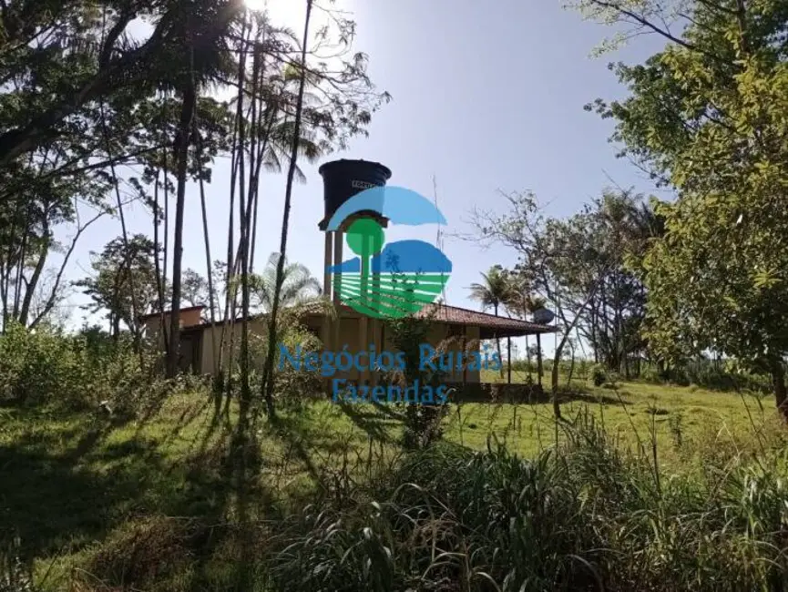Foto 5 de Fazenda / Haras com 6 quartos à venda, 153751m2 em Abaetetuba - PA