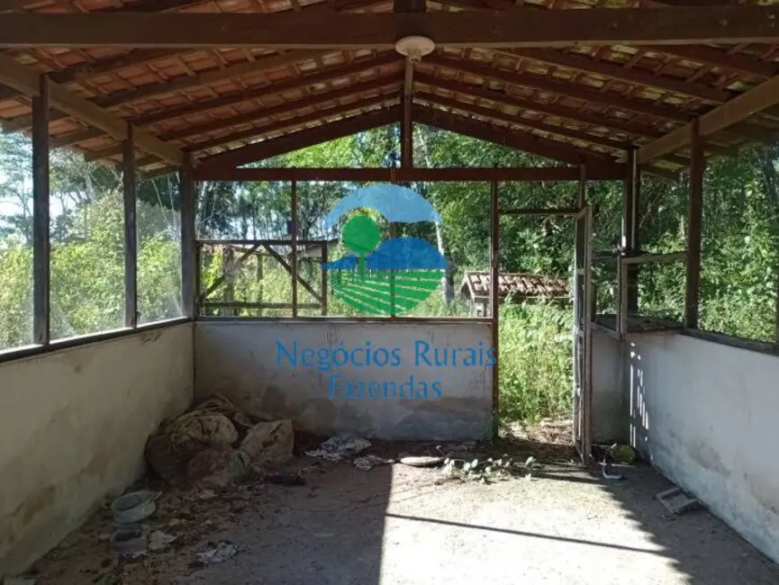 Foto 3 de Fazenda / Haras com 6 quartos à venda, 153751m2 em Abaetetuba - PA