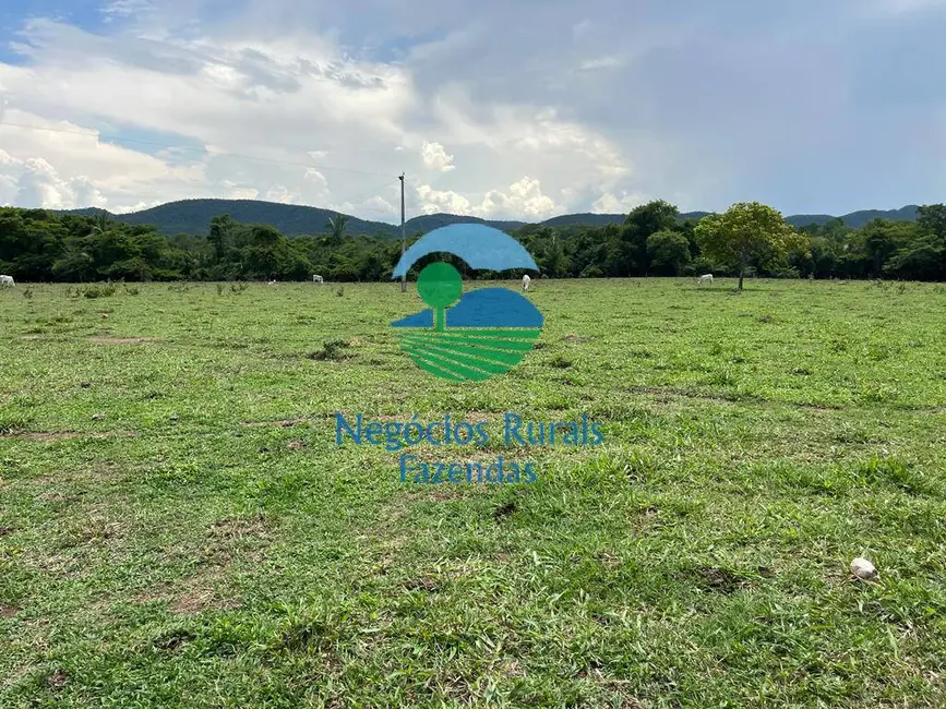 Fazenda / Haras com 4 quartos à venda, 784m2 em Palmeiropolis - TO - imagem 5 Foto 5 de Fazenda / Haras com 4 quartos à venda, 784m2 em Palmeiropolis - TO