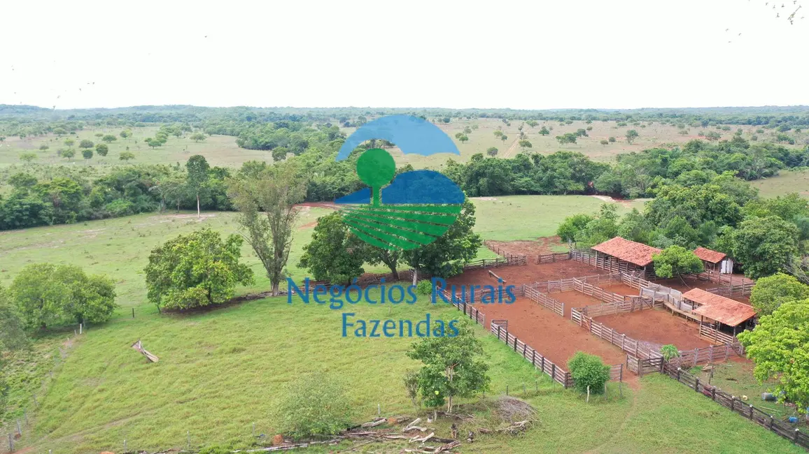 Foto 2 de Fazenda / Haras com 4 quartos à venda, 784m2 em Palmeiropolis - TO