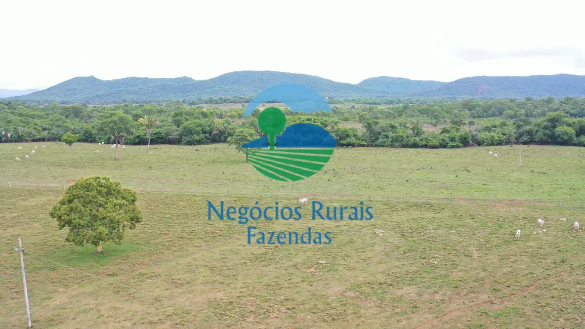 Fazenda / Haras com 4 quartos à venda, 784m2 em Palmeiropolis - TO - imagem 4 Foto 4 de Fazenda / Haras com 4 quartos à venda, 784m2 em Palmeiropolis - TO