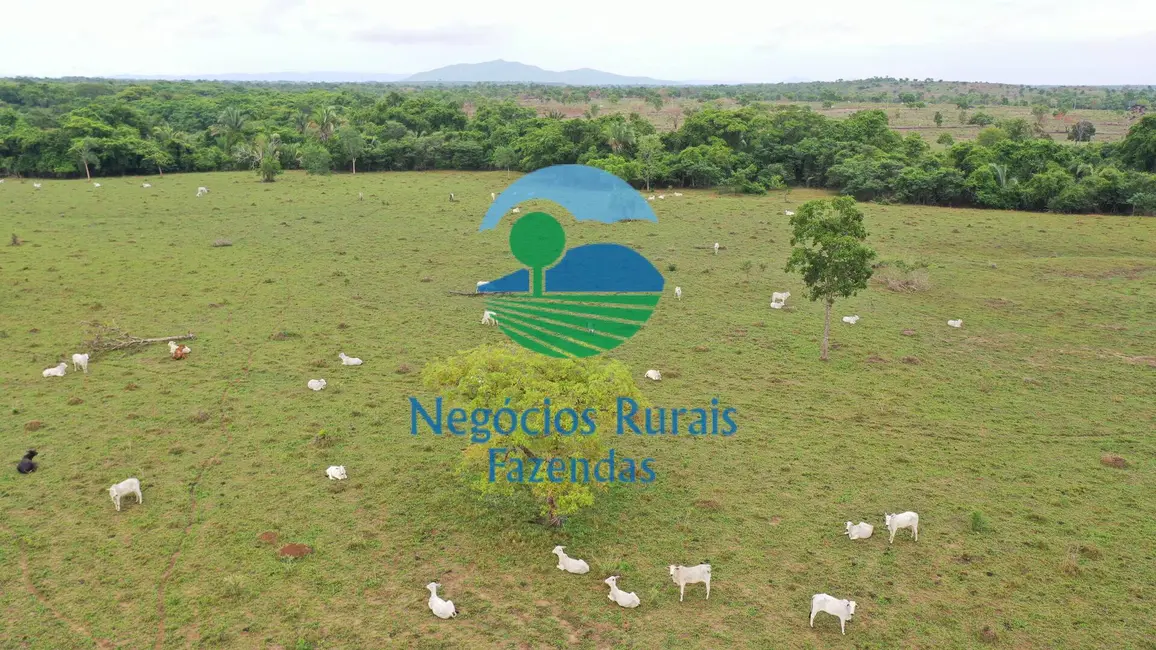 Foto 1 de Fazenda / Haras com 4 quartos à venda, 784m2 em Palmeiropolis - TO