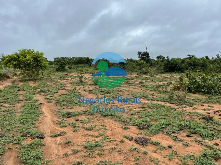 Fazenda / Haras com 4 quartos à venda, 1258m2 em Peixe - TO - imagem 9 Foto 9 de Fazenda / Haras com 4 quartos à venda, 1258m2 em Peixe - TO