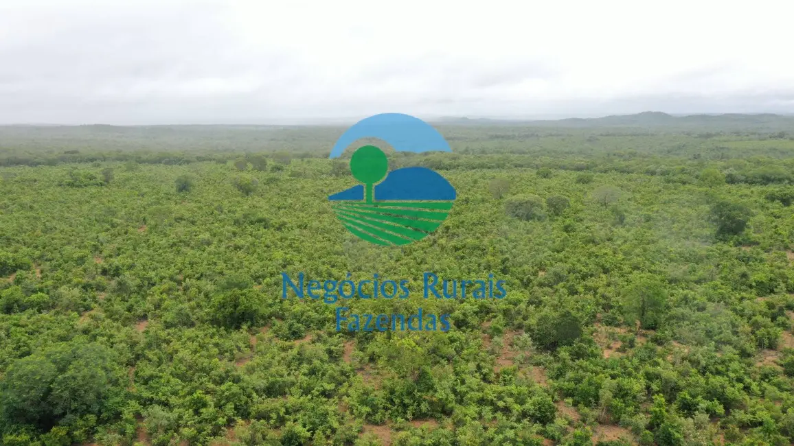 Fazenda / Haras com 4 quartos à venda, 1258m2 em Peixe - TO - imagem 3 Foto 3 de Fazenda / Haras com 4 quartos à venda, 1258m2 em Peixe - TO