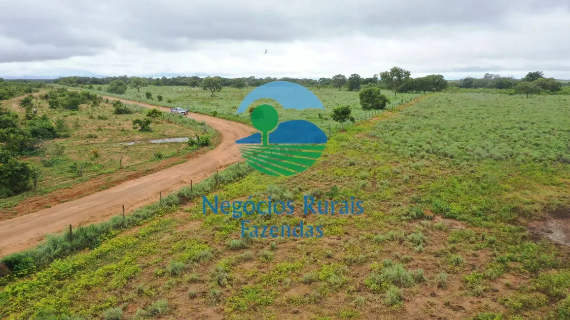 Fazenda / Haras com 4 quartos à venda, 1258m2 em Peixe - TO - imagem 6 Foto 6 de Fazenda / Haras com 4 quartos à venda, 1258m2 em Peixe - TO