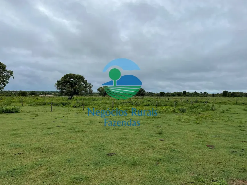 Foto 1 de Fazenda / Haras com 4 quartos à venda, 1258m2 em Peixe, TO