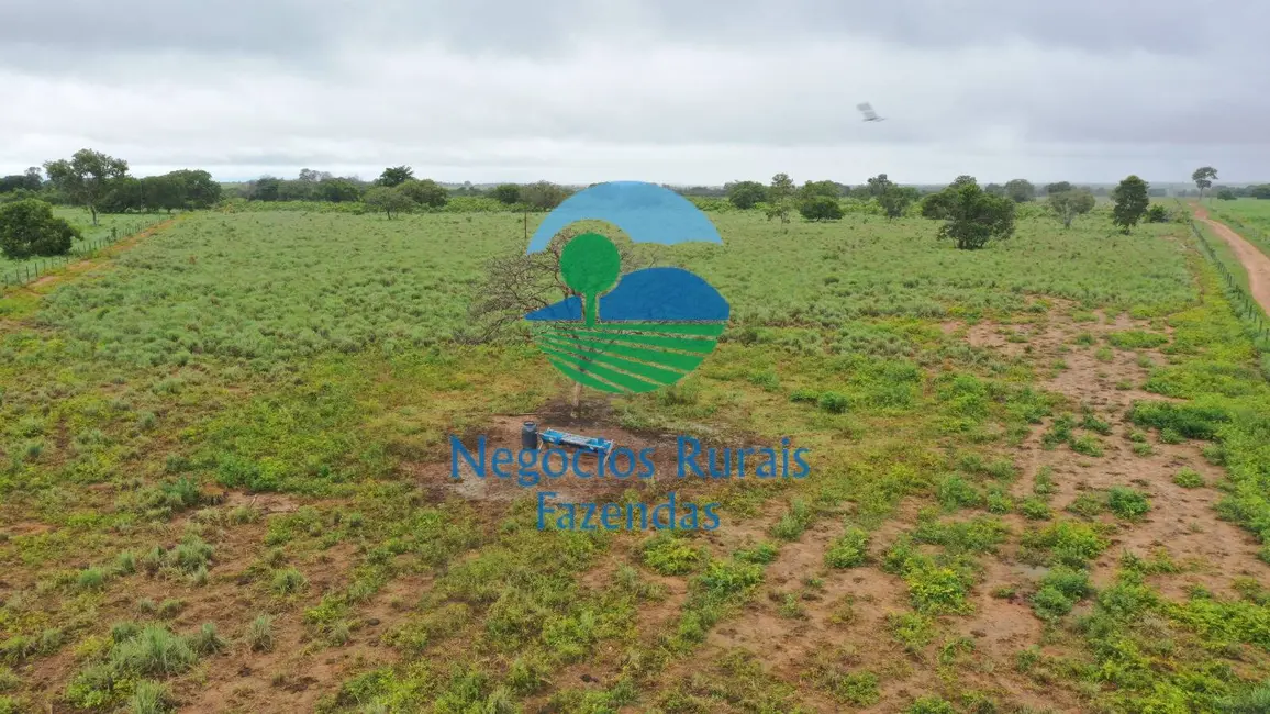 Fazenda / Haras com 4 quartos à venda, 1258m2 em Peixe - TO - imagem 7 Foto 7 de Fazenda / Haras com 4 quartos à venda, 1258m2 em Peixe - TO