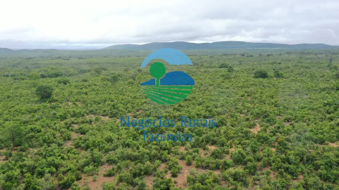 Fazenda / Haras com 4 quartos à venda, 1258m2 em Peixe - TO - imagem 4 Foto 4 de Fazenda / Haras com 4 quartos à venda, 1258m2 em Peixe - TO