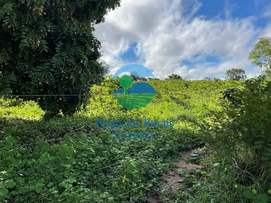 Foto 7 de Fazenda / Haras com 3 quartos à venda, 1064m2 em Porangatu - GO