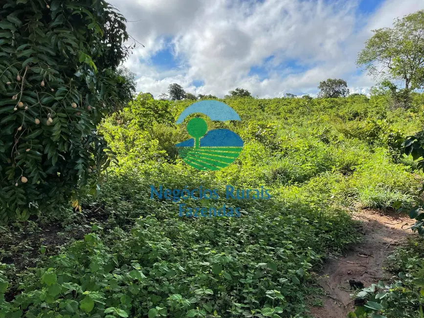 Foto 6 de Fazenda / Haras com 3 quartos à venda, 1064m2 em Porangatu - GO