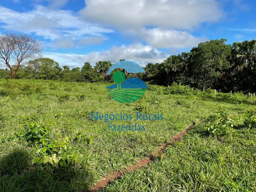 Foto 9 de Fazenda / Haras com 3 quartos à venda, 1064m2 em Porangatu - GO