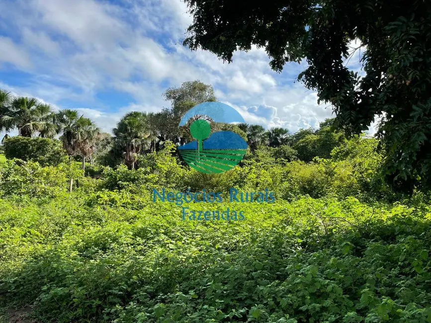 Foto 5 de Fazenda / Haras com 3 quartos à venda, 1064m2 em Porangatu - GO