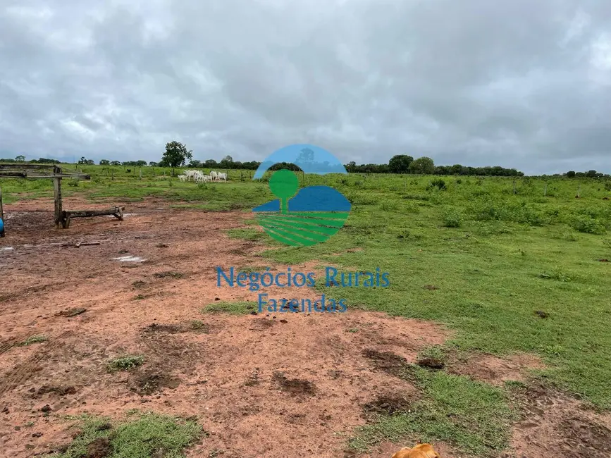 Foto 4 de Fazenda / Haras com 3 quartos à venda, 1064m2 em Porangatu - GO