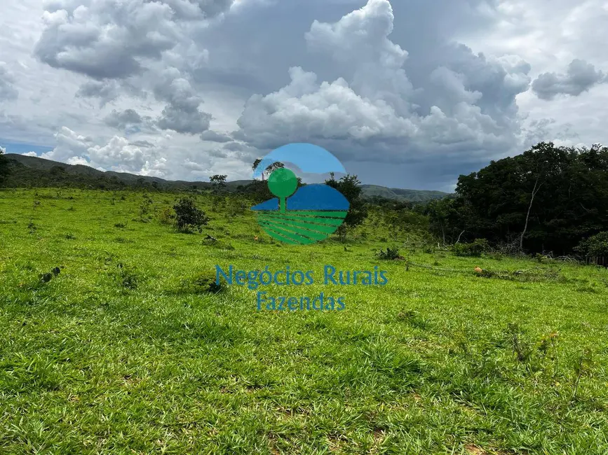 Fazenda / Haras à venda, 667m2 em Mimoso De Goias - GO - imagem 8 Foto 8 de Fazenda / Haras à venda, 667m2 em Mimoso De Goias - GO