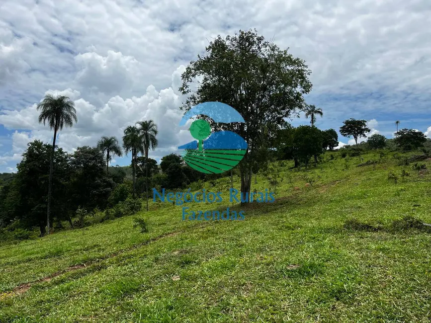 Fazenda / Haras à venda, 667m2 em Mimoso De Goias - GO - imagem 2 Foto 2 de Fazenda / Haras à venda, 667m2 em Mimoso De Goias - GO