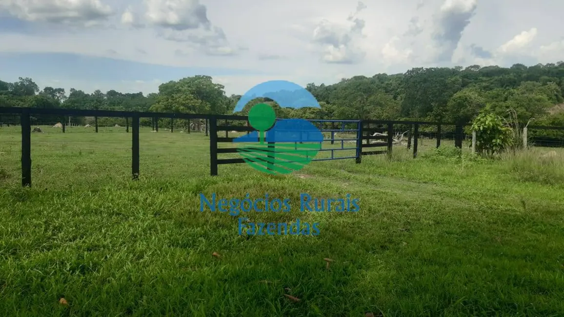 Foto 7 de Fazenda / Haras com 3 quartos à venda, 484m2 em Crixas - GO