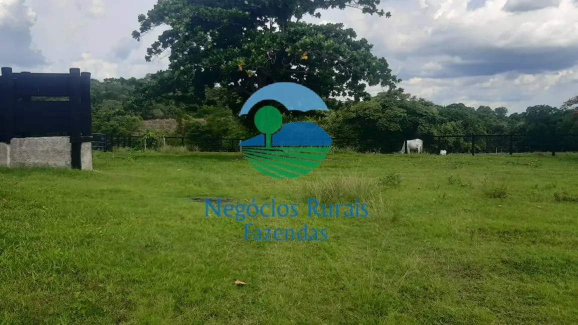 Foto 1 de Fazenda / Haras com 3 quartos à venda, 484m2 em Crixas - GO