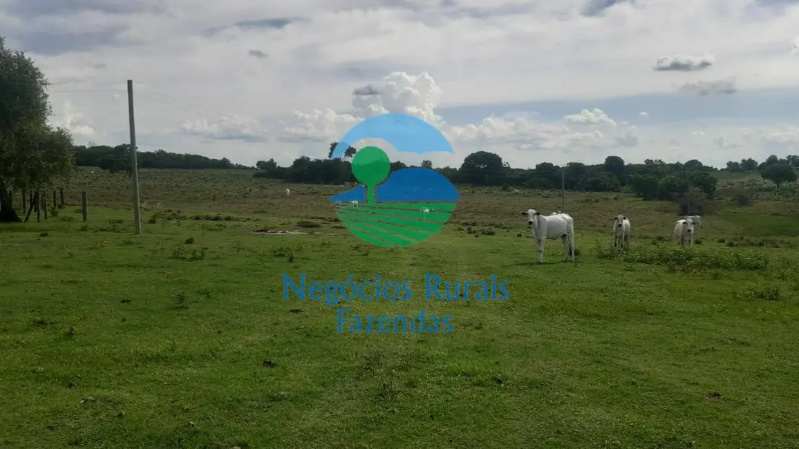 Foto 3 de Fazenda / Haras com 3 quartos à venda, 484m2 em Crixas - GO