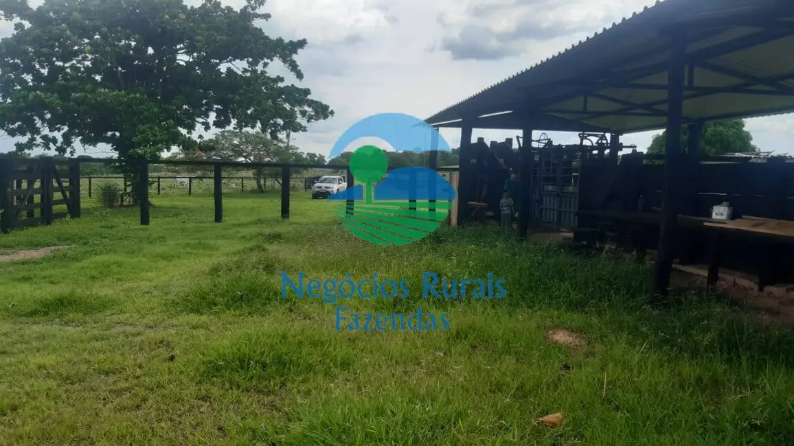 Foto 9 de Fazenda / Haras com 3 quartos à venda, 484m2 em Crixas - GO