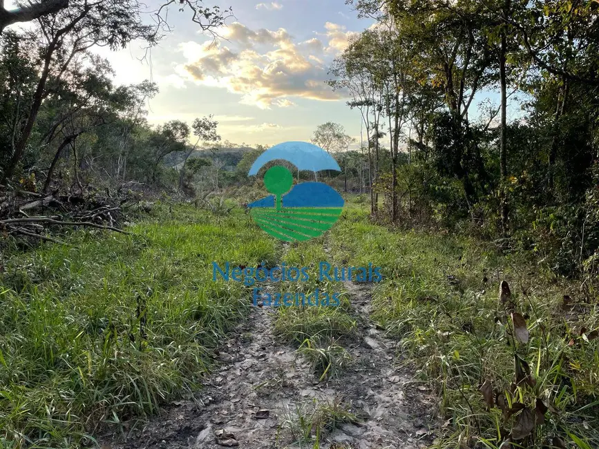 Foto 6 de Fazenda / Haras com 4 quartos à venda, 145m2 em Campinacu - GO