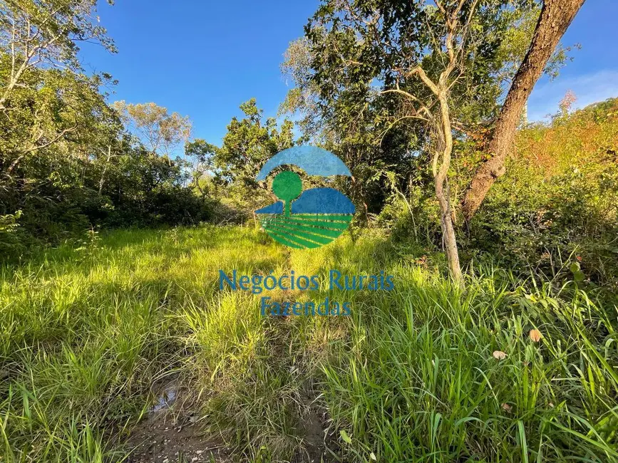 Foto 9 de Fazenda / Haras com 4 quartos à venda, 145m2 em Campinacu - GO