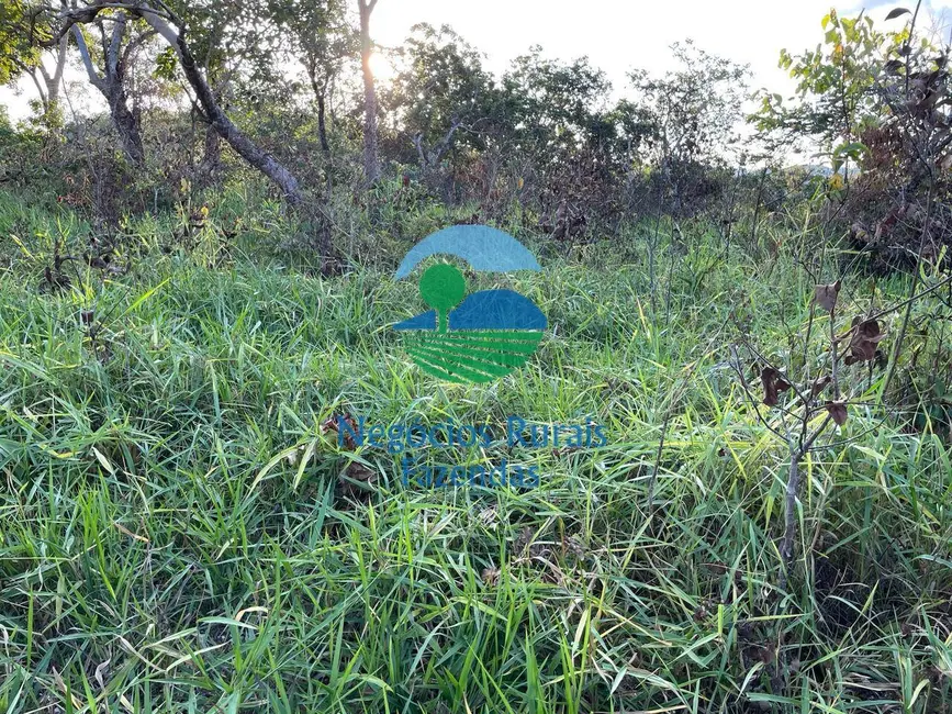 Foto 7 de Fazenda / Haras com 4 quartos à venda, 145m2 em Campinacu - GO