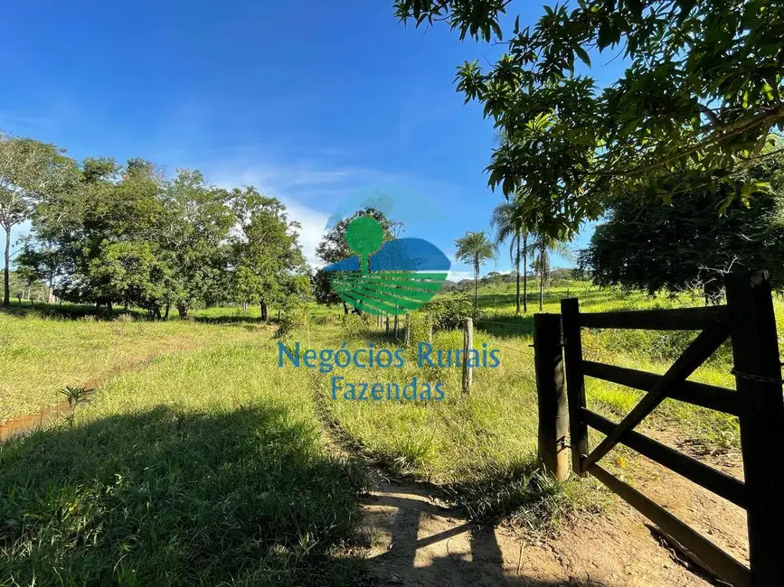 Fazenda / Haras com 2 quartos à venda, 121m2 em Campinacu - GO - imagem 3 Foto 3 de Fazenda / Haras com 2 quartos à venda, 121m2 em Campinacu - GO