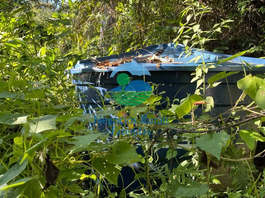 Fazenda / Haras com 2 quartos à venda, 121m2 em Campinacu - GO - imagem 9 Foto 9 de Fazenda / Haras com 2 quartos à venda, 121m2 em Campinacu - GO