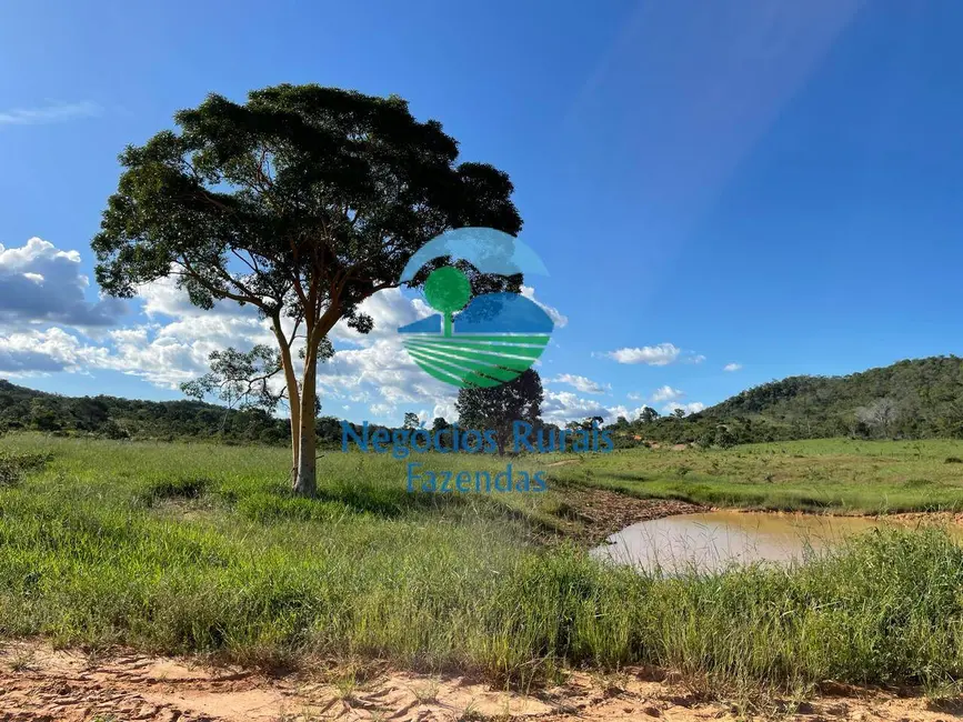 Fazenda / Haras com 2 quartos à venda, 121m2 em Campinacu - GO - imagem 6 Foto 6 de Fazenda / Haras com 2 quartos à venda, 121m2 em Campinacu - GO