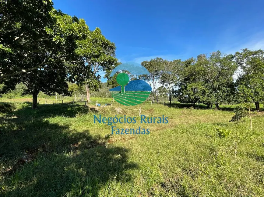 Fazenda / Haras com 2 quartos à venda, 121m2 em Campinacu - GO - imagem 2 Foto 2 de Fazenda / Haras com 2 quartos à venda, 121m2 em Campinacu - GO