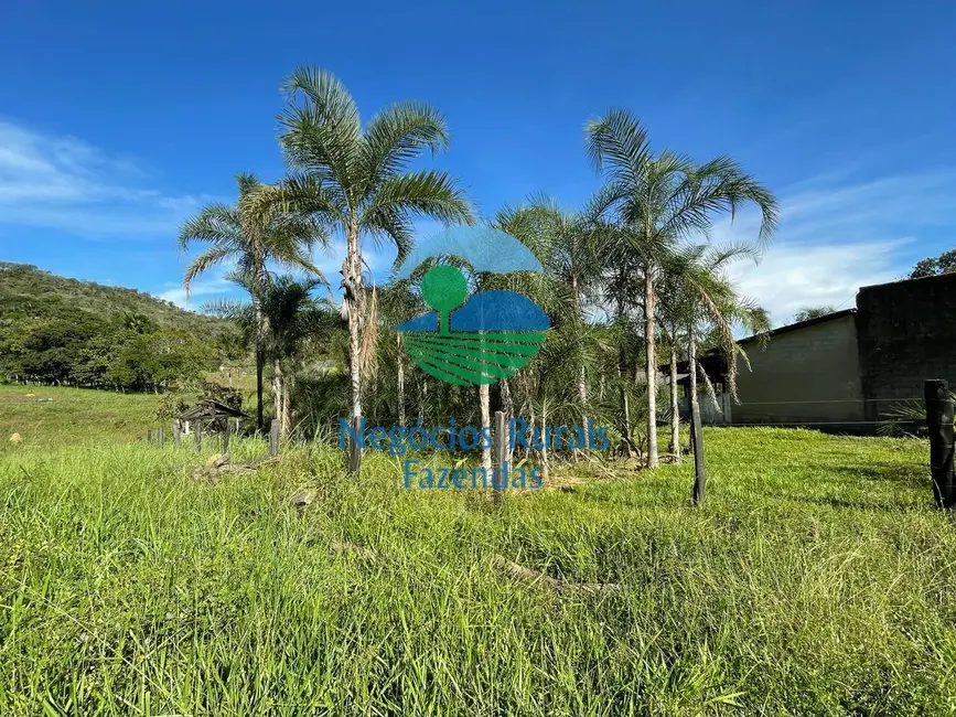 Fazenda / Haras com 2 quartos à venda, 121m2 em Campinacu - GO - imagem 5 Foto 5 de Fazenda / Haras com 2 quartos à venda, 121m2 em Campinacu - GO