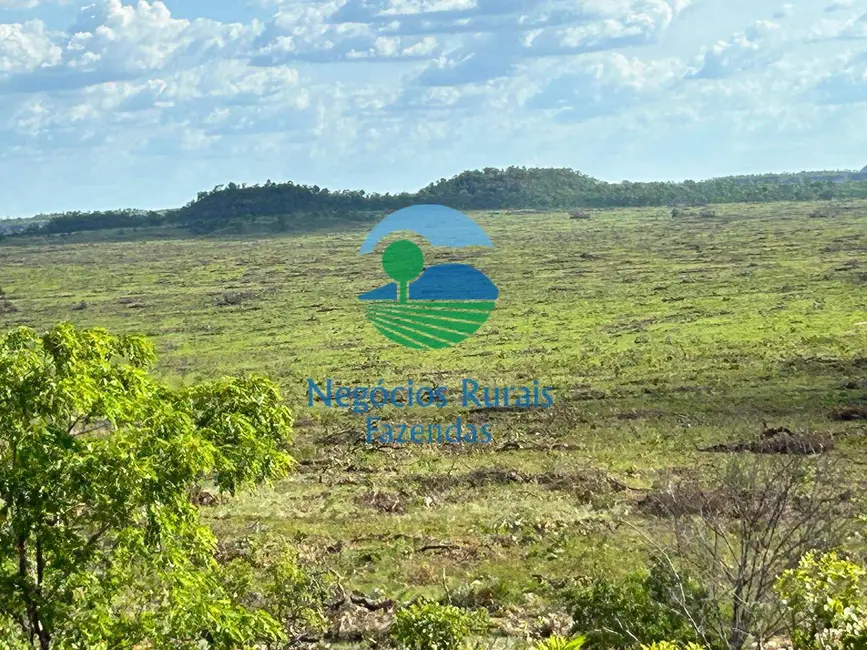 Fazenda / Haras à venda, 4936m2 em Goiatins - TO - imagem 4 Foto 4 de Fazenda / Haras à venda, 4936m2 em Goiatins - TO