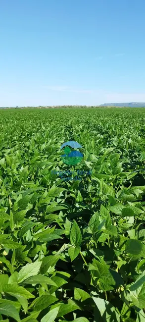 Fazenda / Haras com 2 quartos à venda, 280m2 em Gurupi - TO - imagem 2 Foto 2 de Fazenda / Haras com 2 quartos à venda, 280m2 em Gurupi - TO