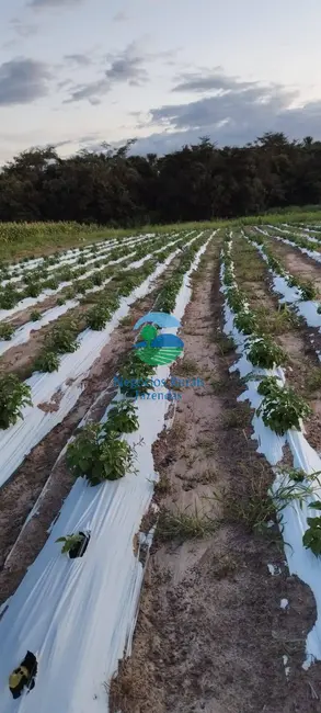 Fazenda / Haras com 2 quartos à venda, 280m2 em Gurupi - TO - imagem 7 Foto 7 de Fazenda / Haras com 2 quartos à venda, 280m2 em Gurupi - TO