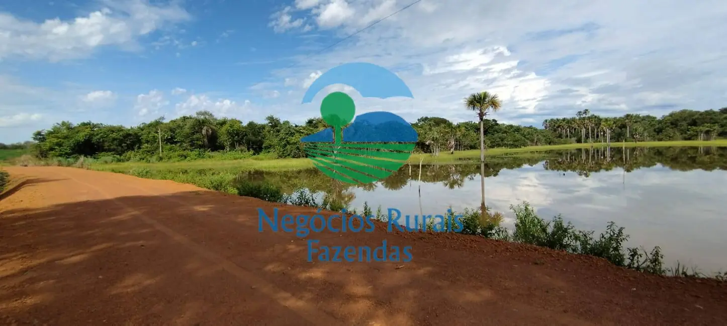 Fazenda / Haras com 2 quartos à venda, 280m2 em Gurupi - TO - imagem 3 Foto 3 de Fazenda / Haras com 2 quartos à venda, 280m2 em Gurupi - TO