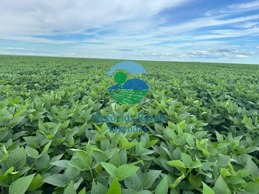 Foto 3 de Fazenda / Haras com 2 quartos à venda, 10930m2 em Uruacu - GO