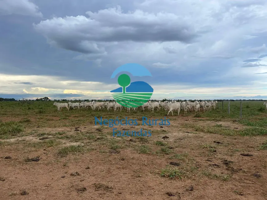 Foto 9 de Fazenda / Haras com 2 quartos à venda, 10930m2 em Uruacu - GO