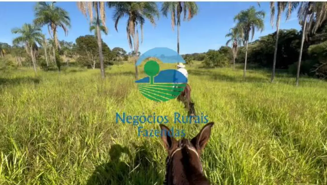 Fazenda / Haras com 3 quartos à venda, 72m2 em Palmeiropolis - TO - imagem 2 Foto 2 de Fazenda / Haras com 3 quartos à venda, 72m2 em Palmeiropolis - TO