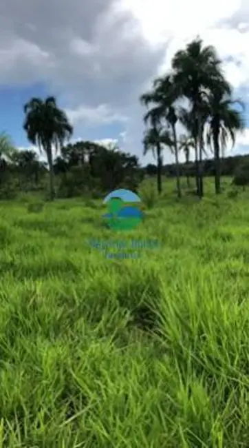 Fazenda / Haras com 3 quartos à venda, 72m2 em Palmeiropolis - TO - imagem 1 Foto 1 de Fazenda / Haras com 3 quartos à venda, 72m2 em Palmeiropolis - TO